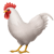 premium-chicken